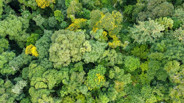 Les Éclats Inoubliables du Cinéma Français : Les Films à Voir Absolument